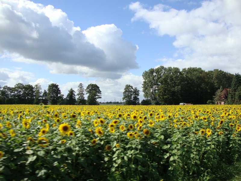 Bramscher Herbstausflug 699